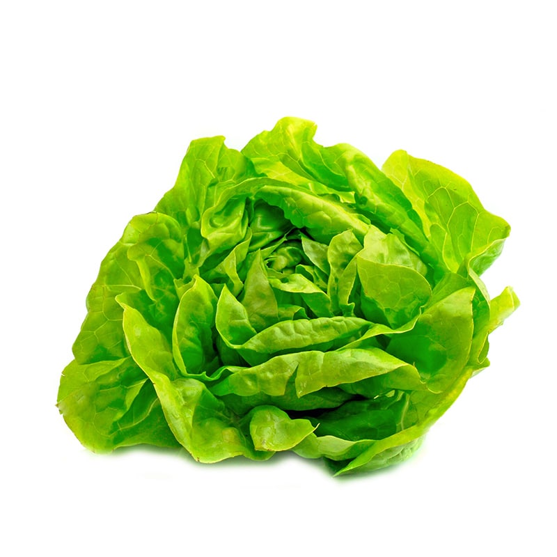 LECHUGA CRIOLLA KG