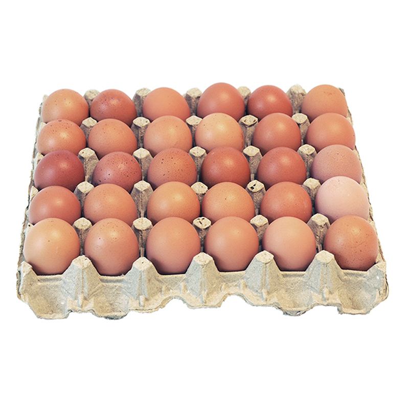 CARTON DE HUEVOS 30 UNIDADES