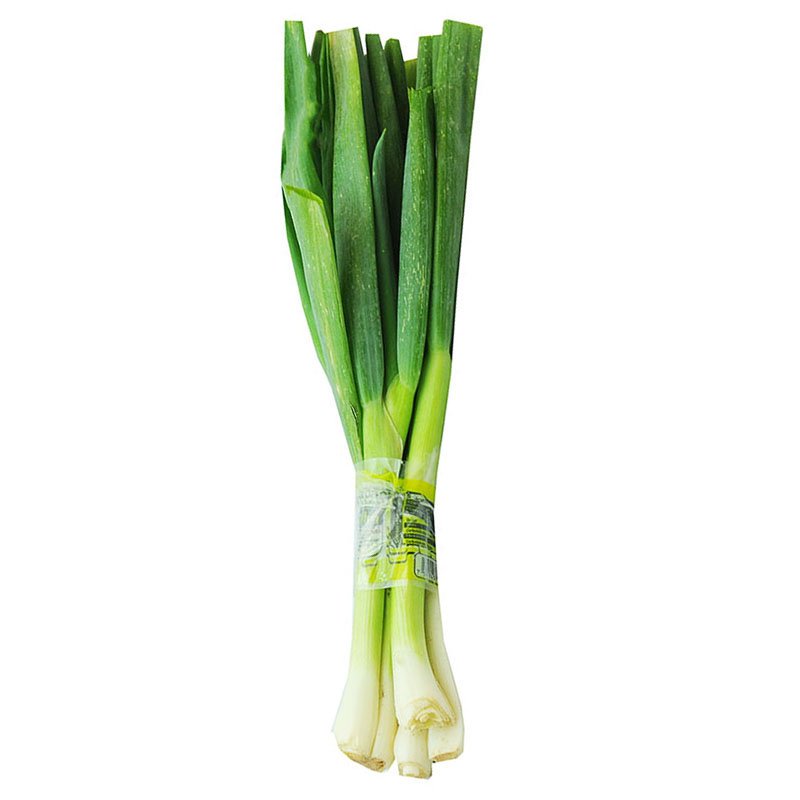 CEBOLLIN PROFRESCA 300GR