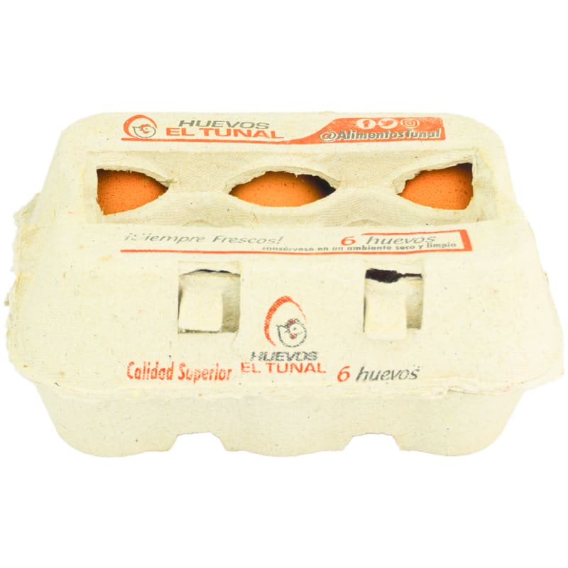 HUEVOS ESTUCHE TUNAL 6 UND