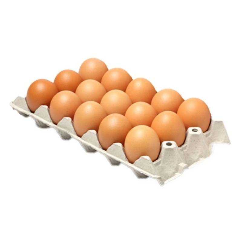 ESTUCHE DE HUEVOS 15 UND