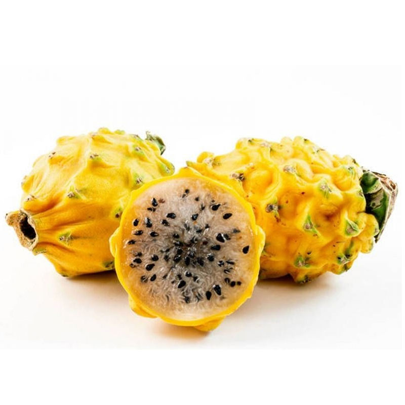 PITAHAYA KG