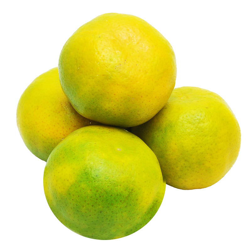 MANDARINA 500 GR APROX