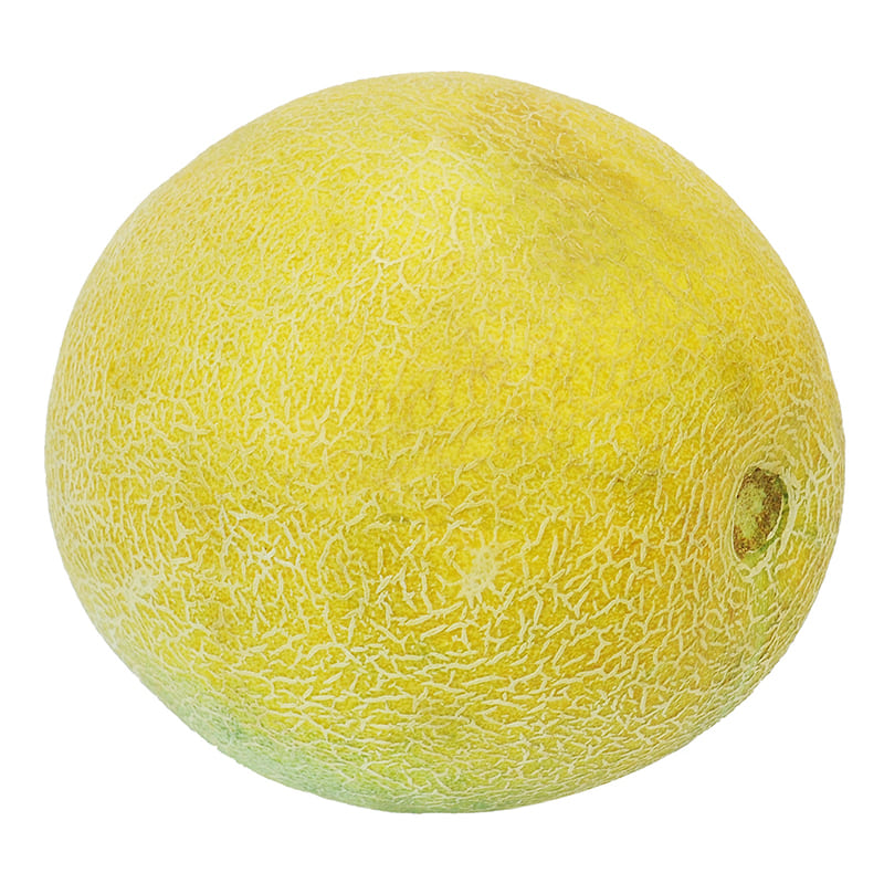 MELON CRIOLLO 2.5 KG APROX
