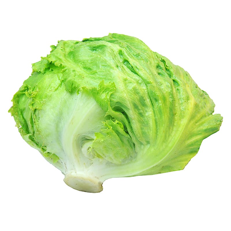 LECHUGA AMERICANA 700 GR APROX