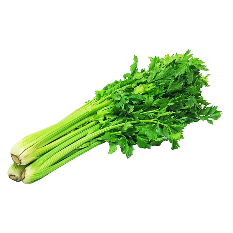 CELERY 300 GR APROX