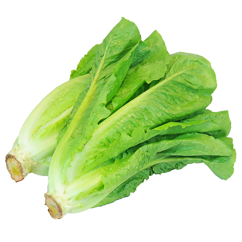 LECHUGA ROMANA 700 GR APROX