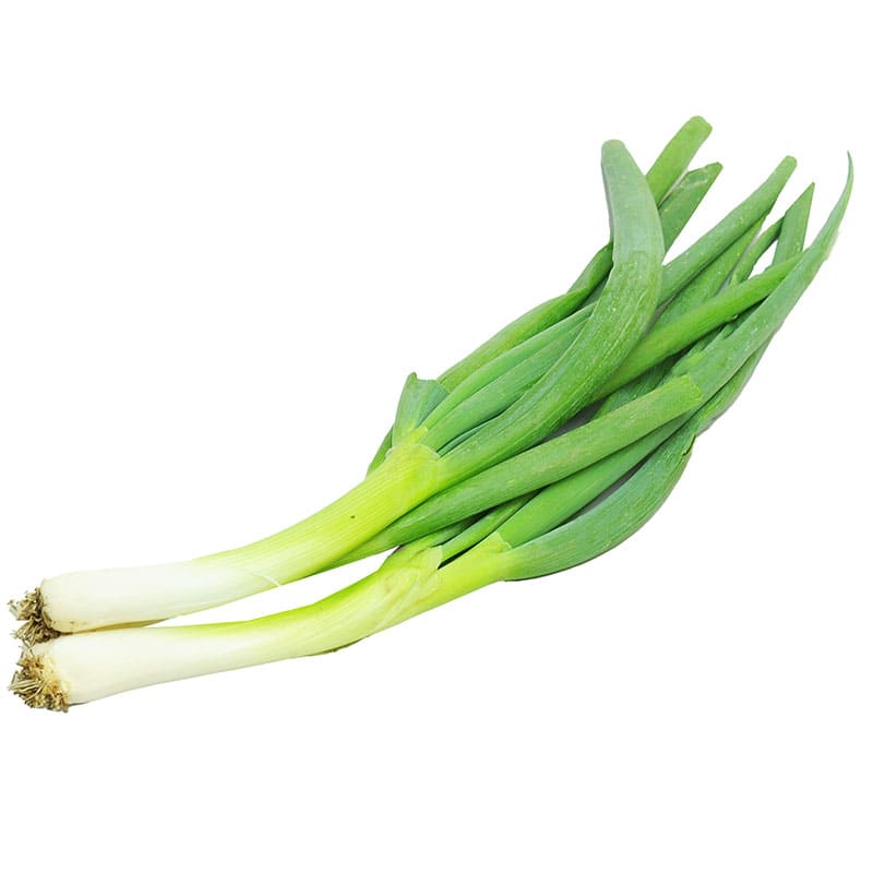 CEBOLLIN 300 GR APROX
