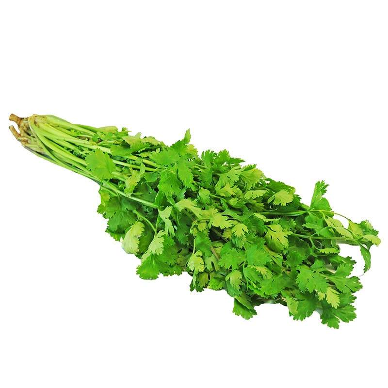 CILANTRO 300 GR APROX