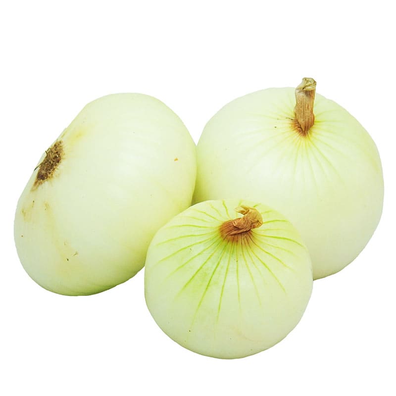 CEBOLLA KG