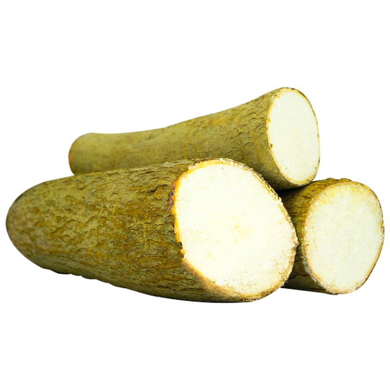 YUCA 1.5 KG APROX