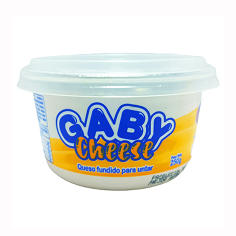 CHEESSE FUNDIDO GABY 250 GR