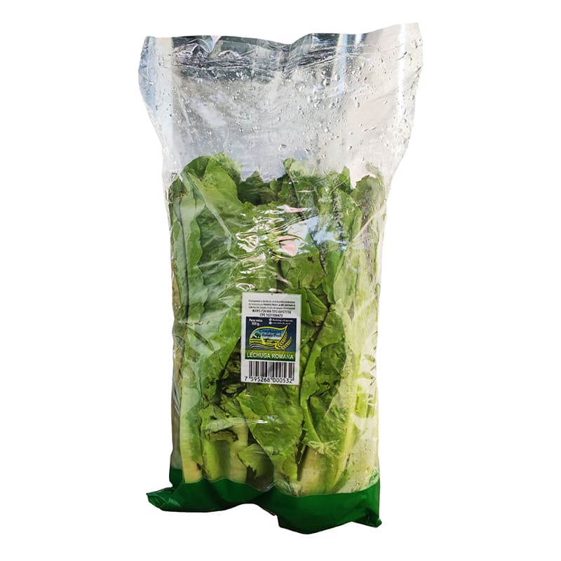  LECHUGA ROMANA DEL CAMPO 2 UND