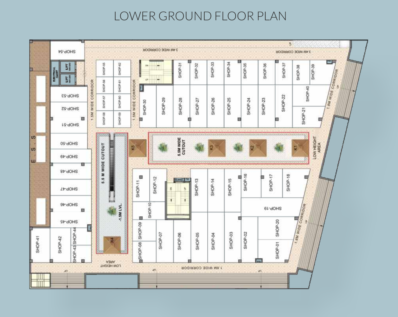 Lower Ground Floor