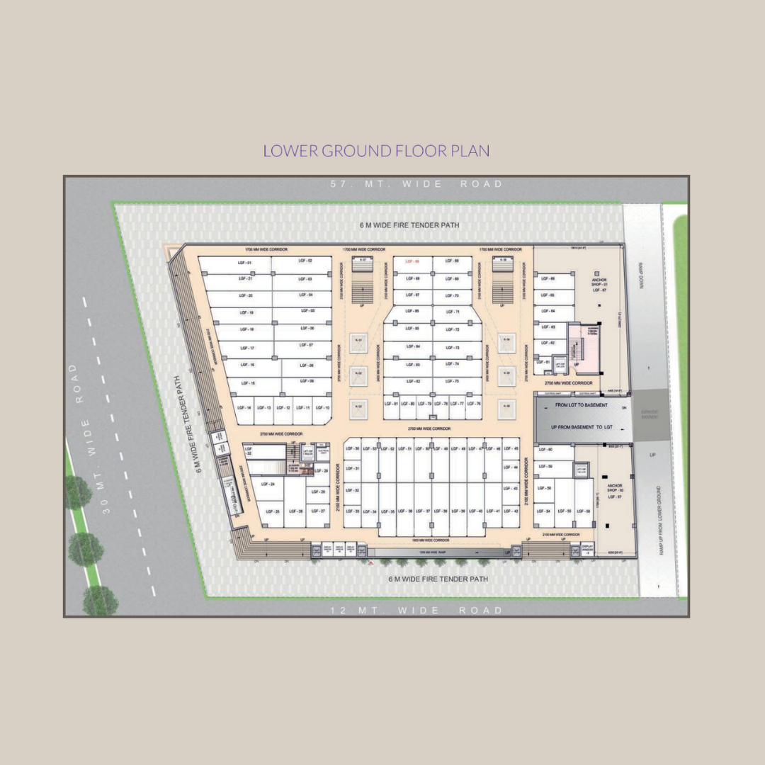 Lower Ground Floor 