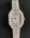 Iced Out Moissanite Studded Watch Hip Hop jewelry