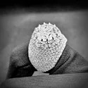 Gold Rings Moissanite Ring Round Brilliant Moissanite Ring Wedding Engagement Ring