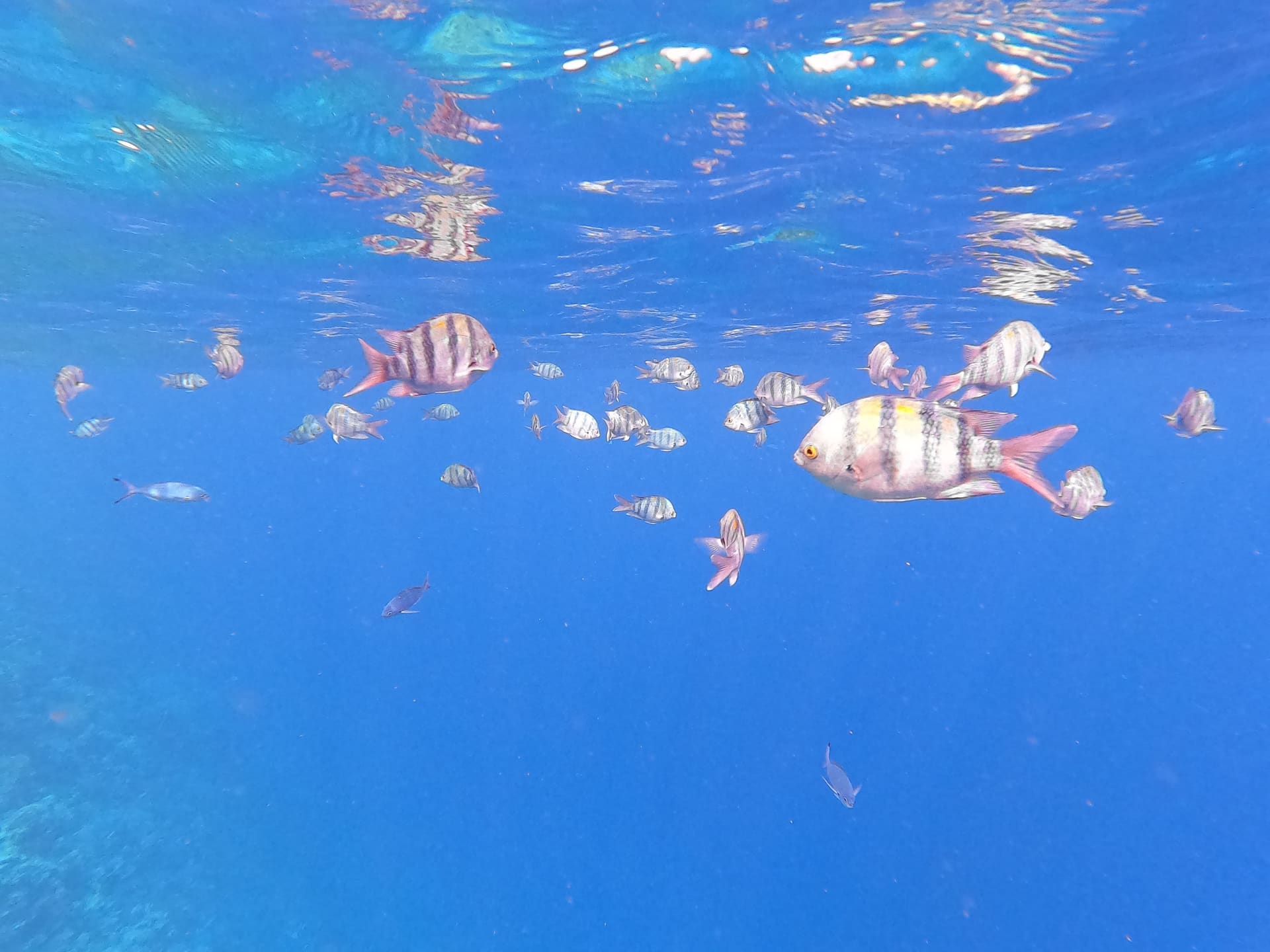 Hurghada, Aegypten - Galerie Bild 3 - Aegypten - Reise