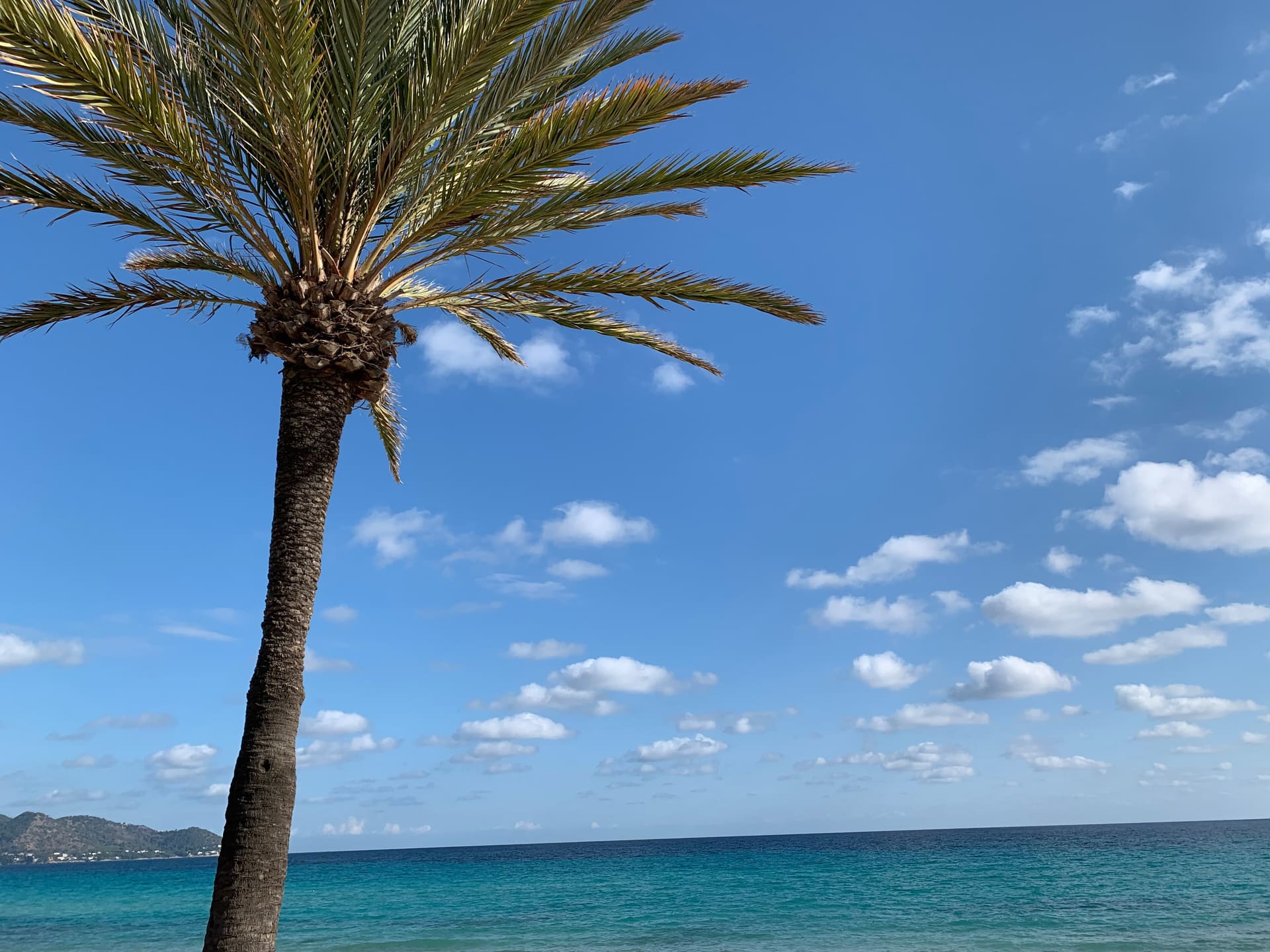 Mallorca - Titelbild - Spanien - Reise