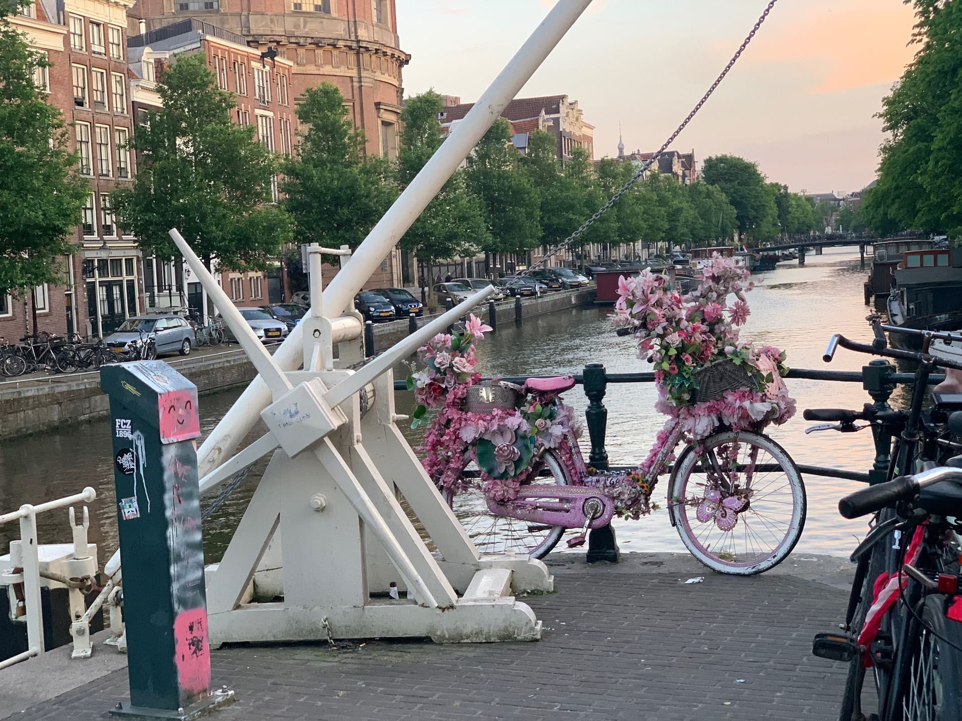 Den Haag & Amsterdam, Niederlande - Galerie Bild 5 - Niederlande - Reise