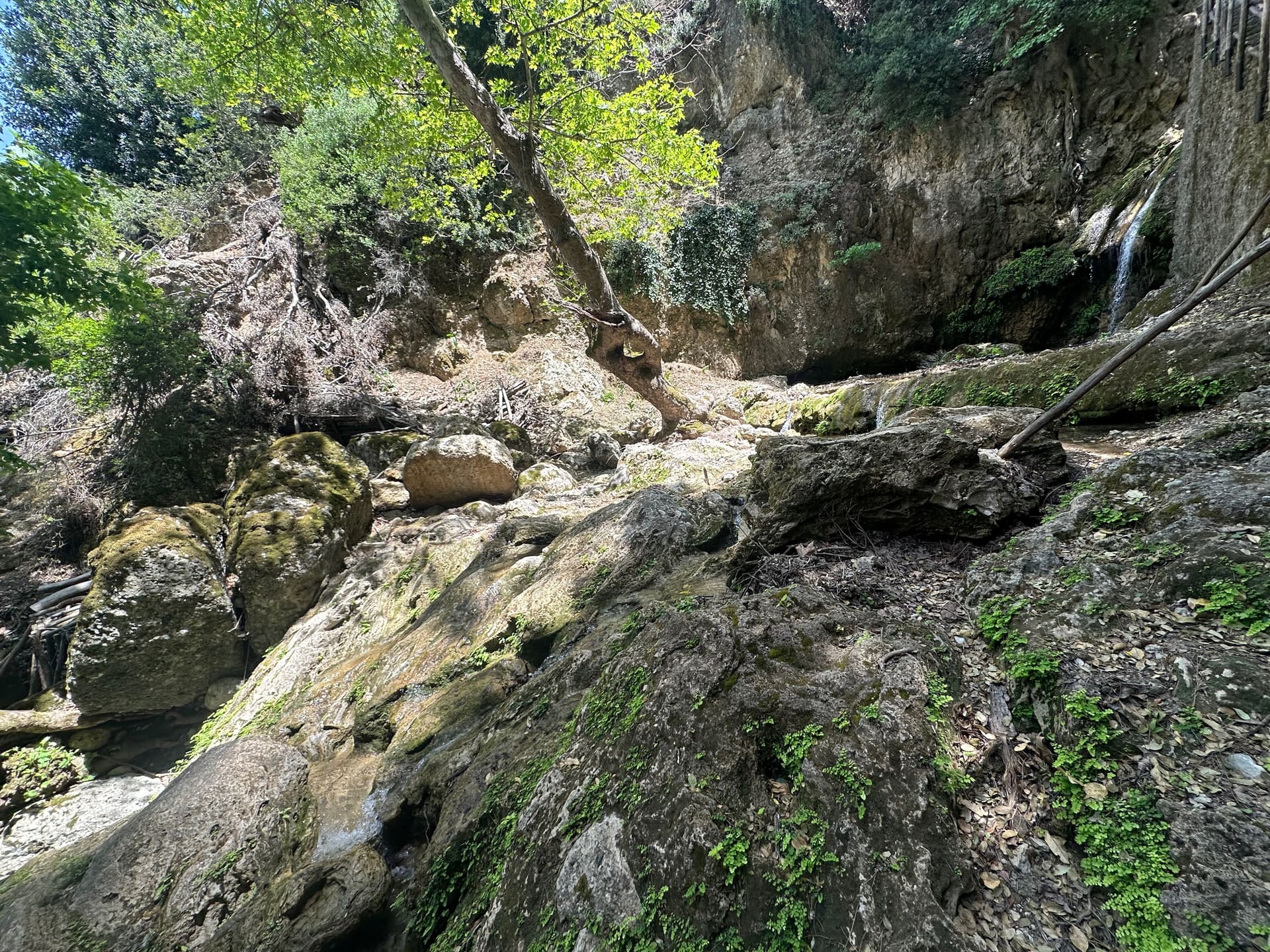 Schmetterlingstal Rhodos - Galerie Bild 7 - Griechenland - Ausflug