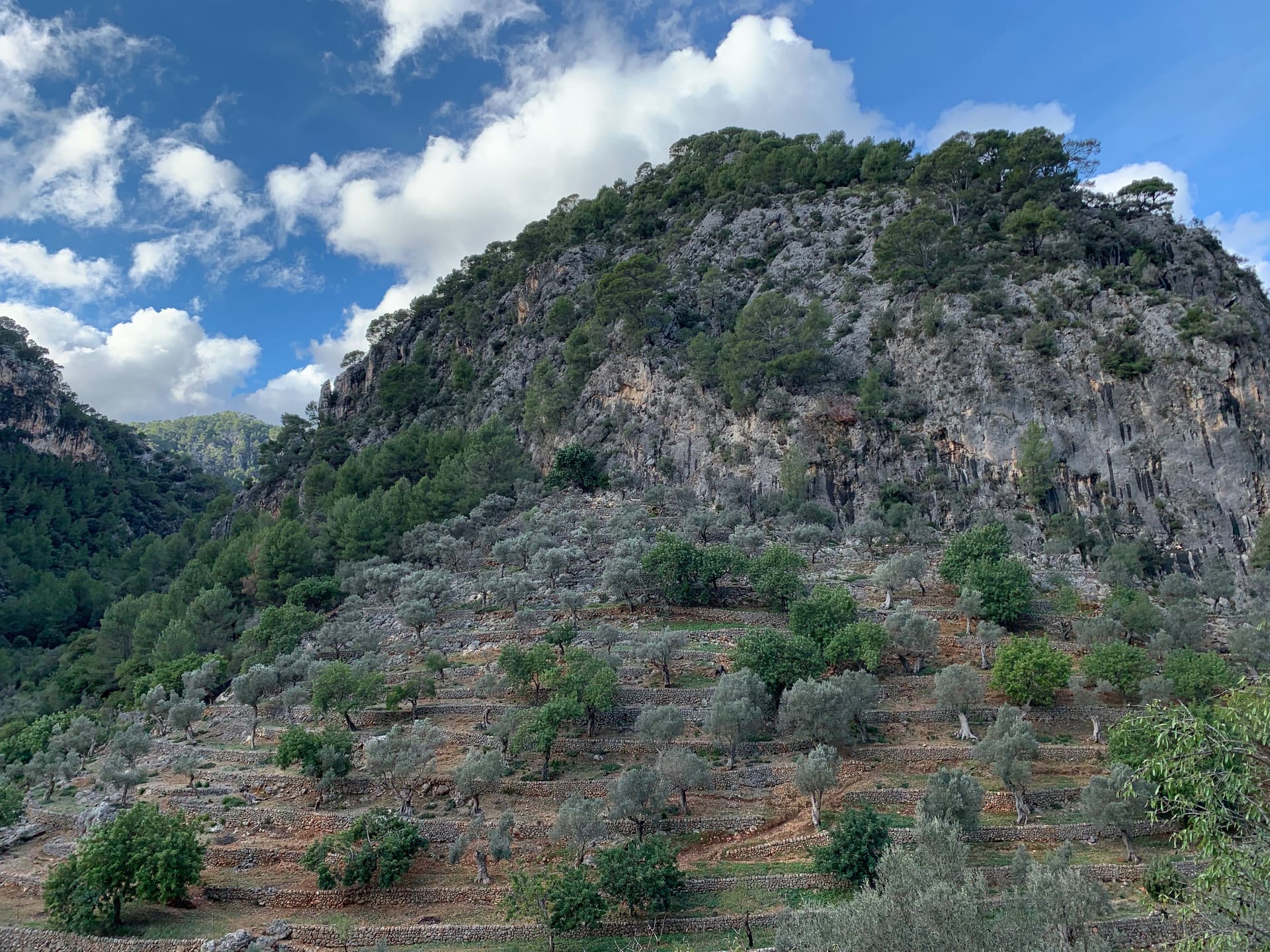 Mallorca - Galerie Bild 4 - Spanien - Reise