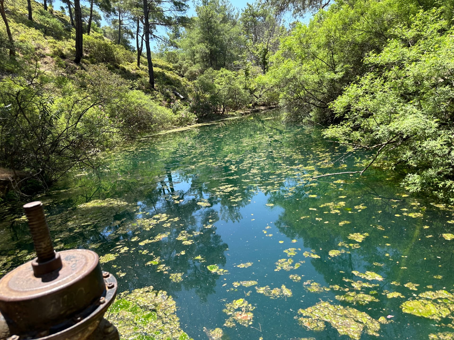 Rhodos, Griechenland - Galerie Bild 5 - Griechenland - Reise