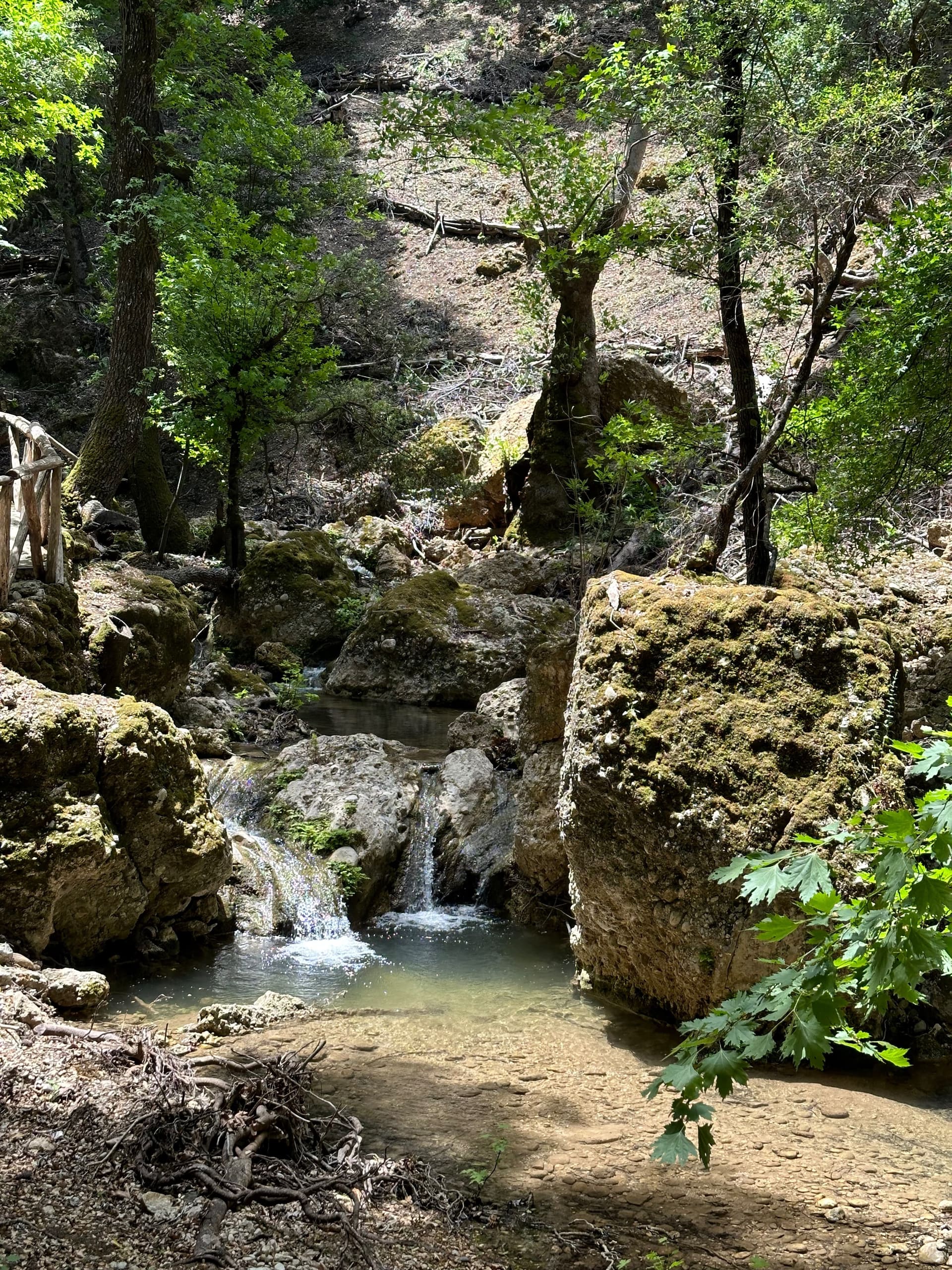 Schmetterlingstal Rhodos - Galerie Bild 5 - Griechenland - Ausflug
