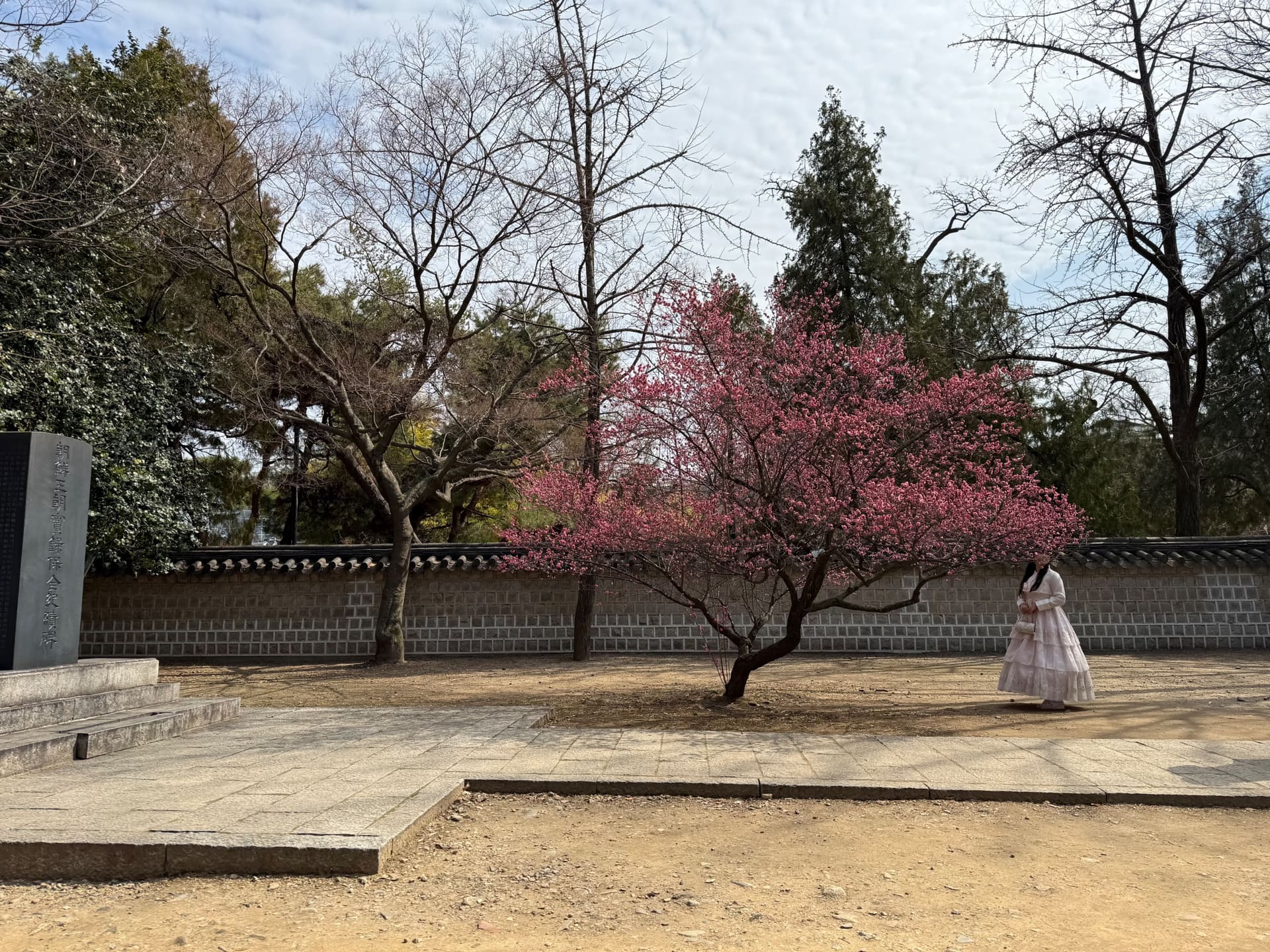 Südkorea - Jeonju 2 - IMG 3458 - Reise