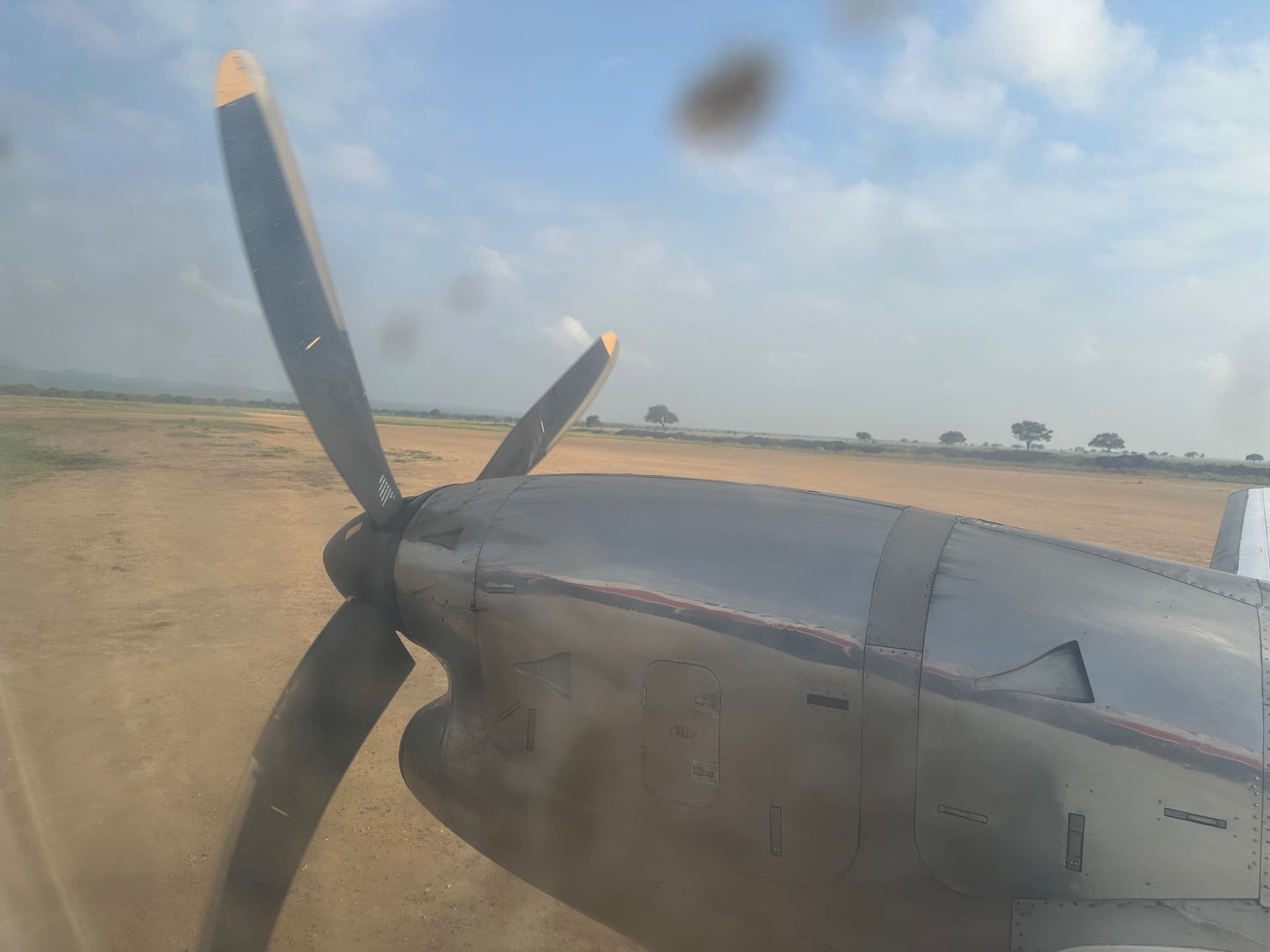 Game Drive im Mikumi Nationalpark - Galerie Bild 1 - Tansania - Ausflug