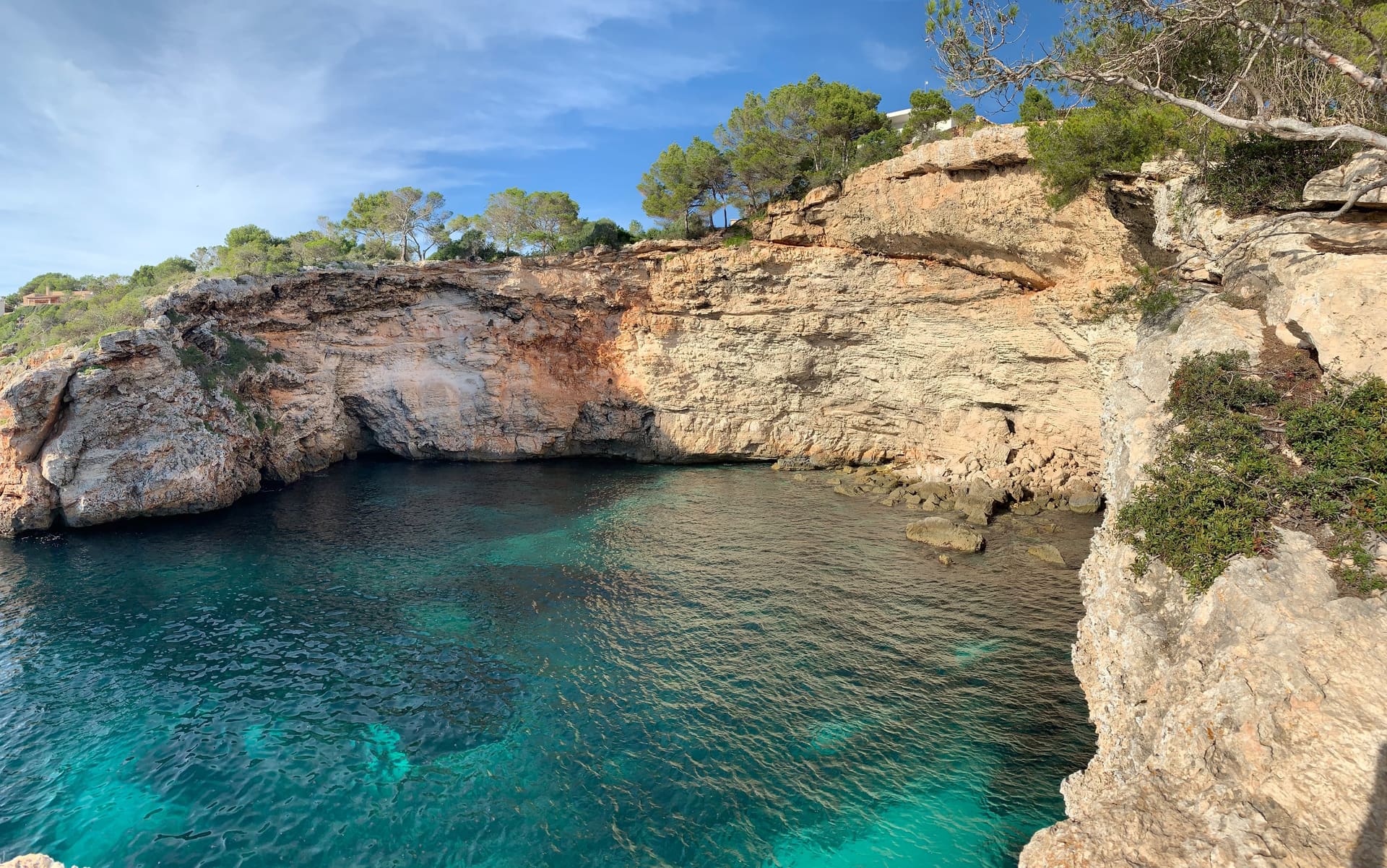 Mallorca, Spanien - Galerie Bild 5 - Spanien - Reise