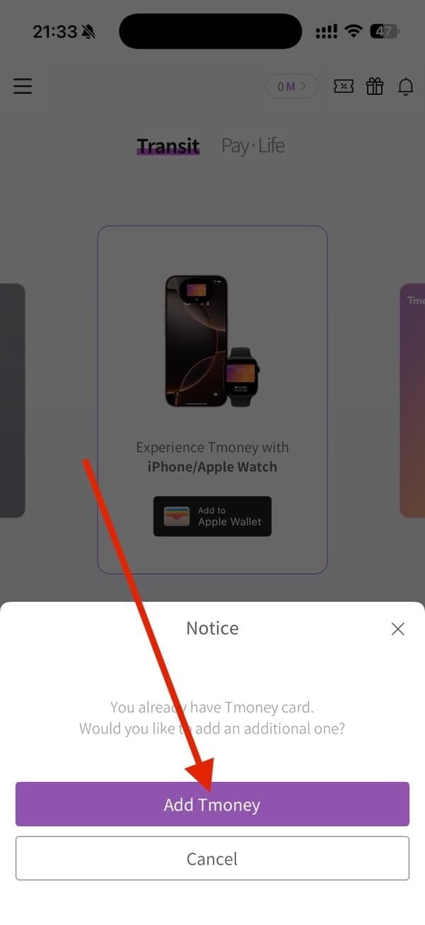 Tmoney-Karte auf dem iPhone - Tmoney Karte auf dem iPhone / Apple Wallet - 4A3C472A-EF75-4DCA-925C-91A34965012A_1_105_c.jpeg - Südkorea - Reisetipp