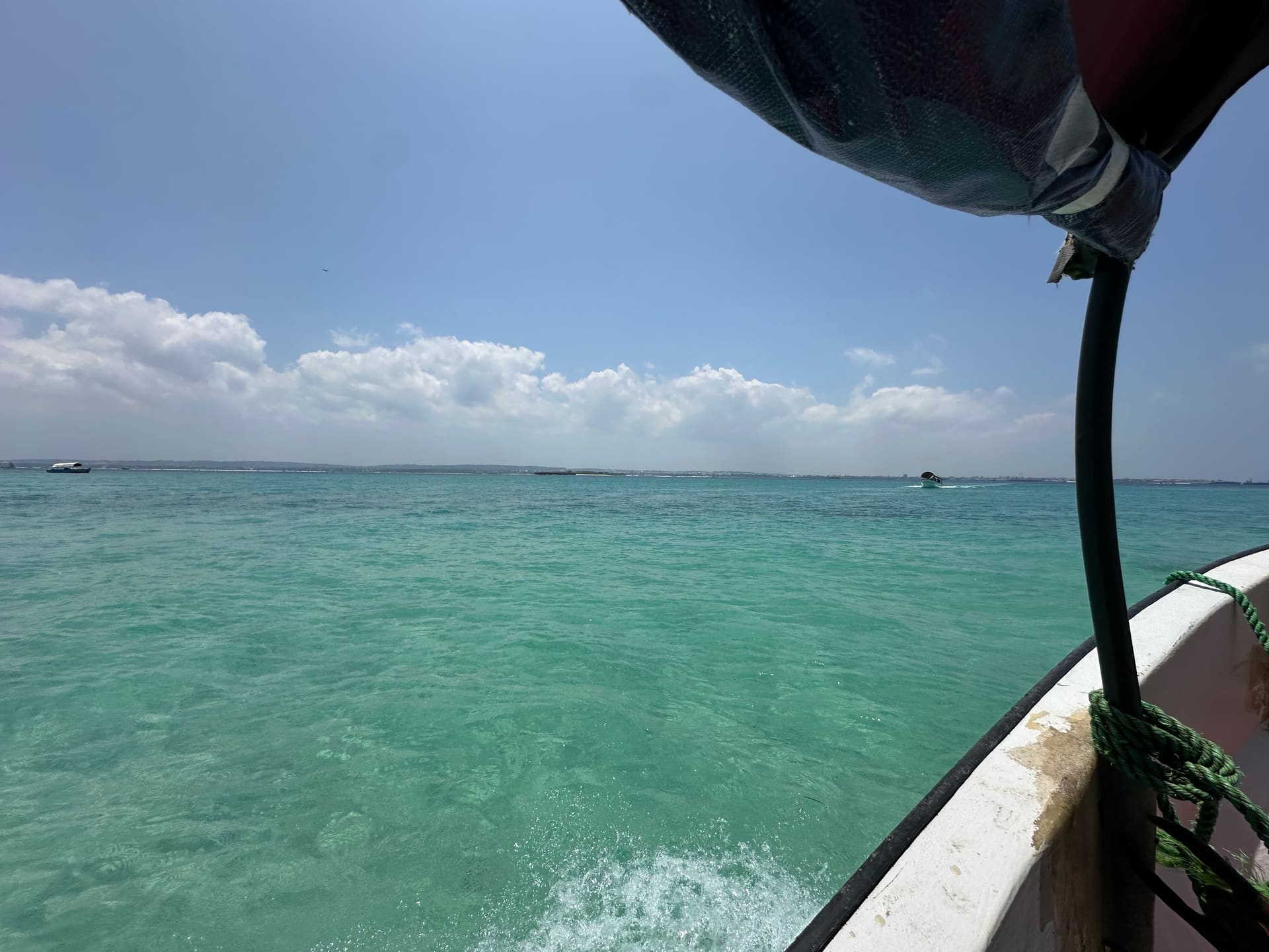 Prison Island & Stonetown - Galerie Bild 5 - Tansania - Ausflug
