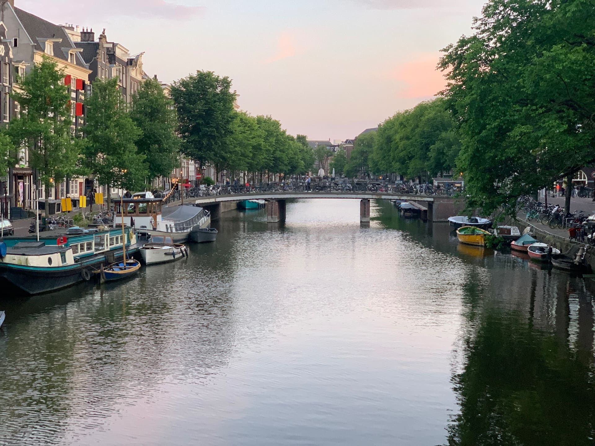 Den Haag & Amsterdam, Niederlande - Galerie Bild 8 - Niederlande - Reise