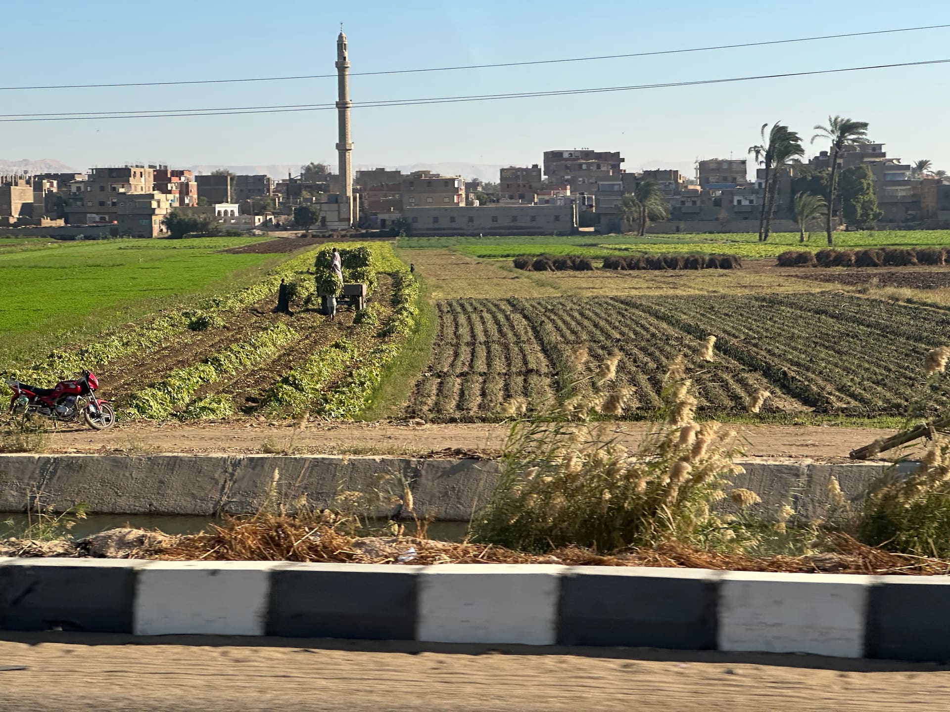 Luxor: Tal der Koenige & Karnak - Galerie Bild 2 - Aegypten - Ausflug