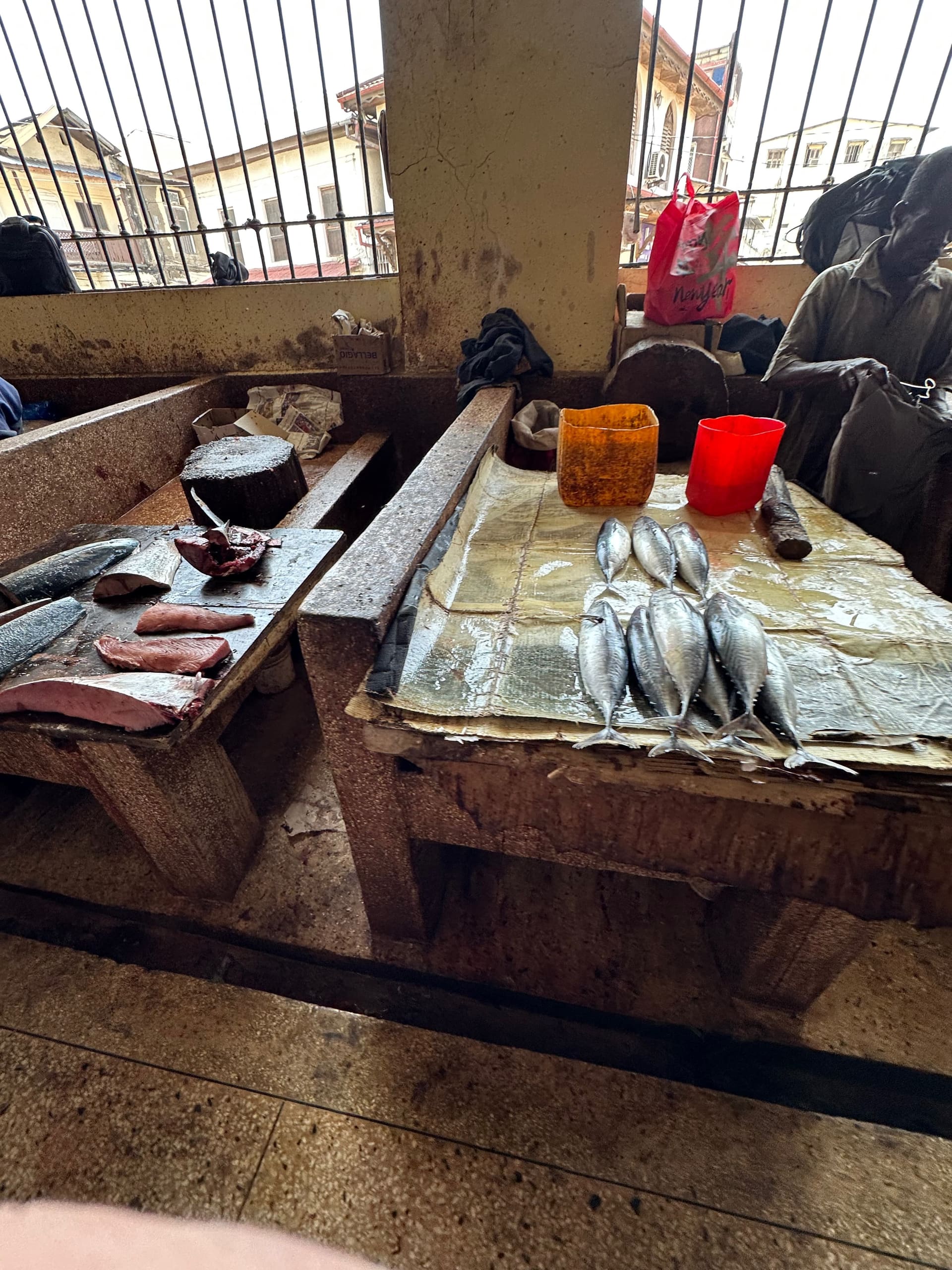Prison Island & Stonetown - Galerie Bild 9 - Tansania - Ausflug
