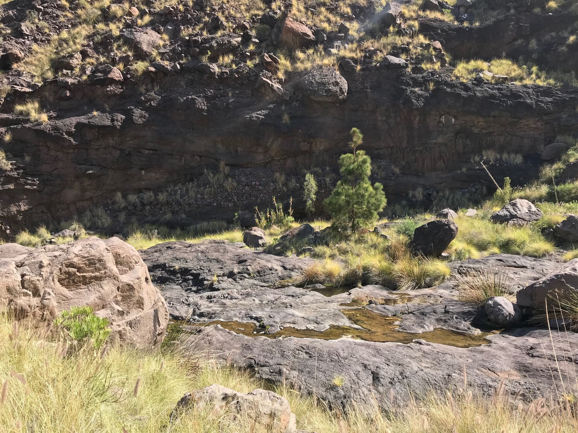 Gran Canaria, Spanien - Galerie Bild 9 - Spanien - Reise