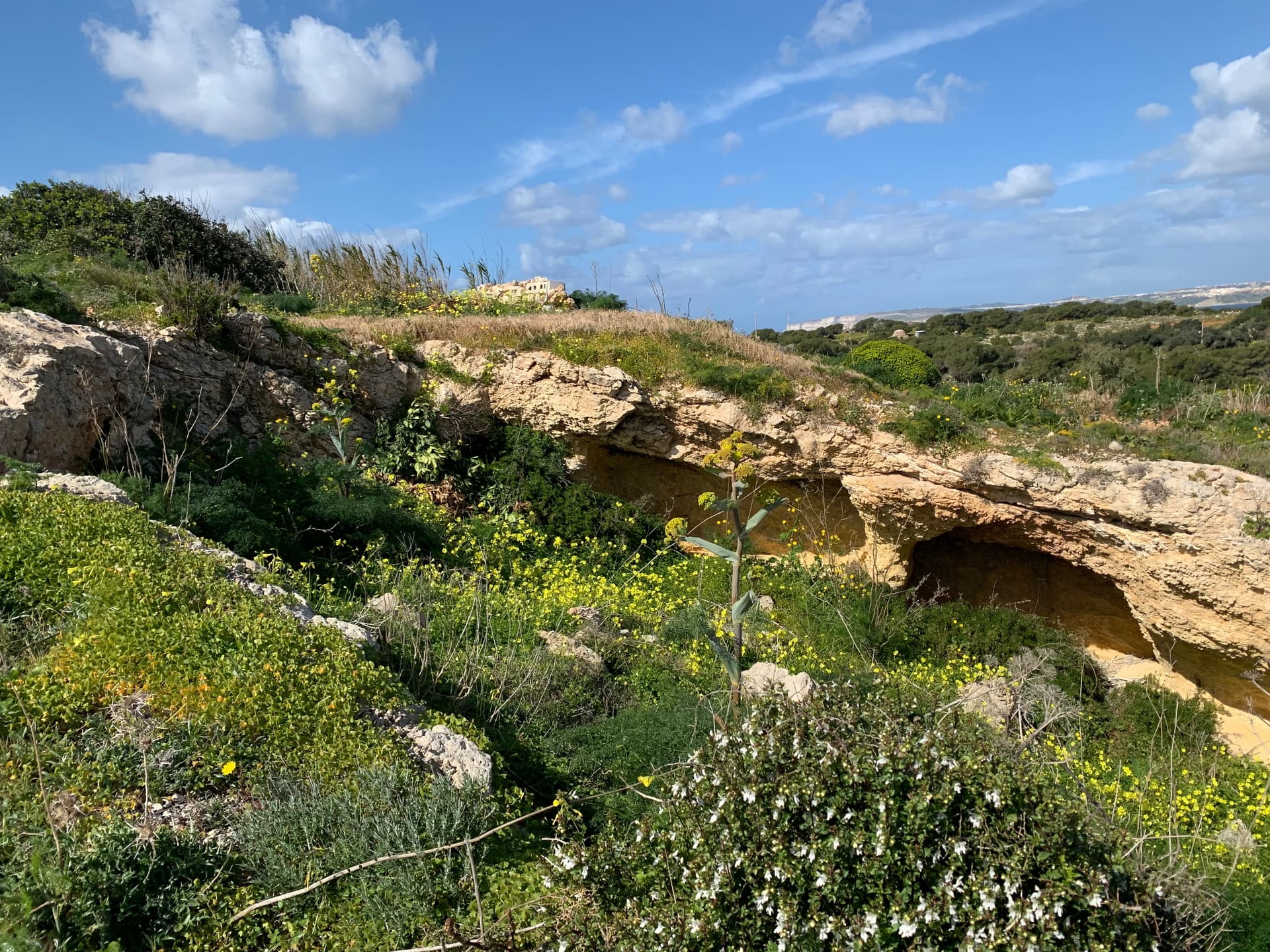 Malta - Galerie Bild 1 - Reise