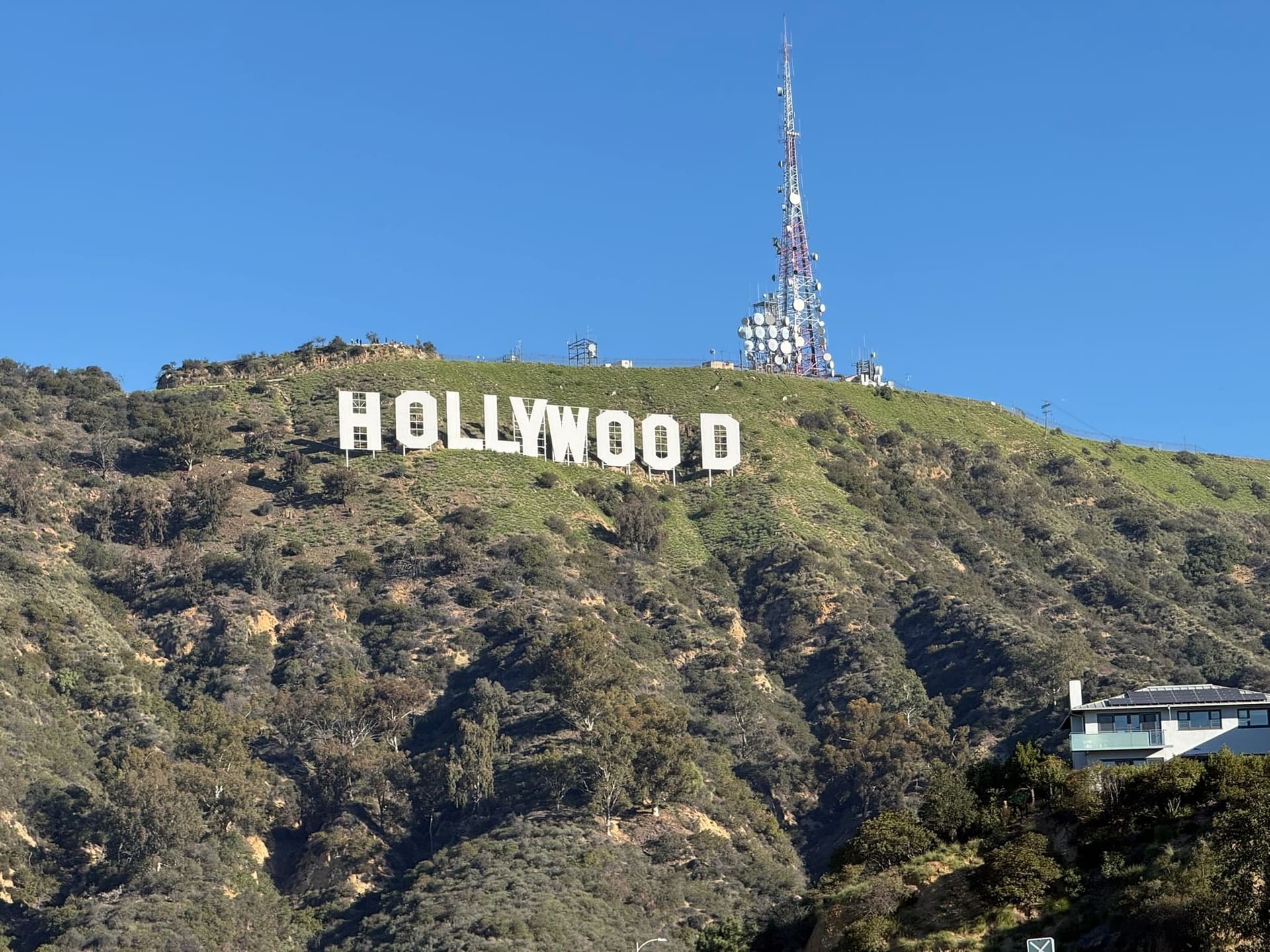 USA - Westküste - Tag 5 in Los Angeles – Hollywood, Santa Monica & ein überraschendes Straßenfest in Chinatown - 2C639372-00A5-4BAE-AA8D-31947E0E3D71_1_102_o.jpeg - USA…