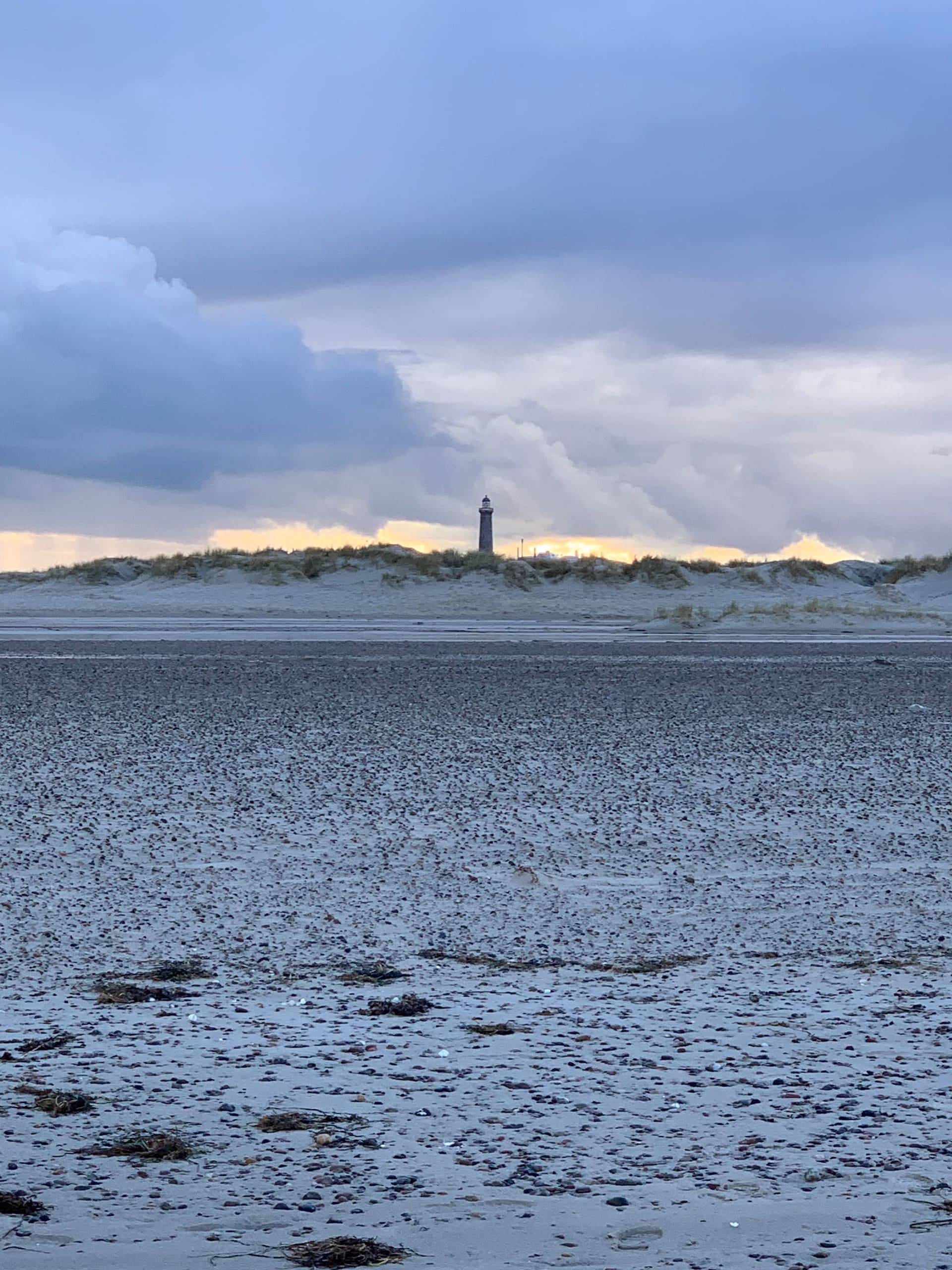 Skagen - Galerie Bild 7 - Daenemark - Ausflug