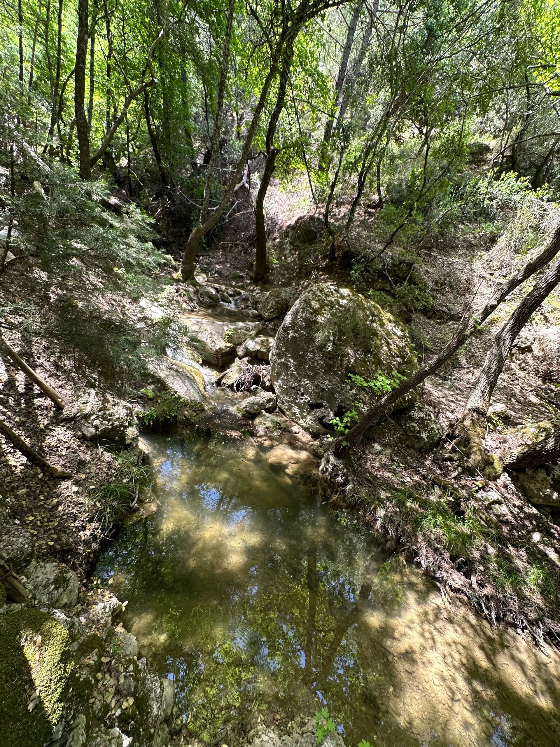 Schmetterlingstal Rhodos - Galerie Bild 2 - Griechenland - Ausflug