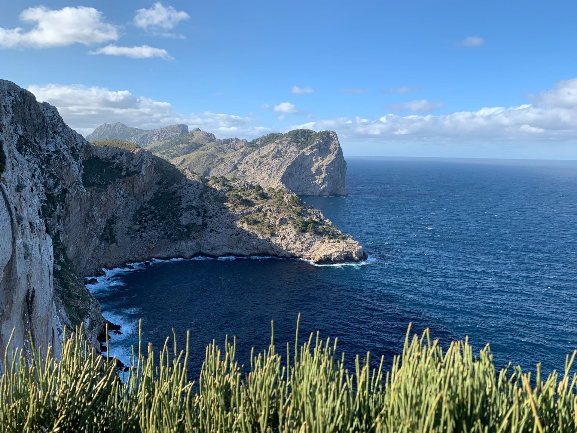 Mallorca, Spanien - Galerie Bild 2 - Spanien - Reise