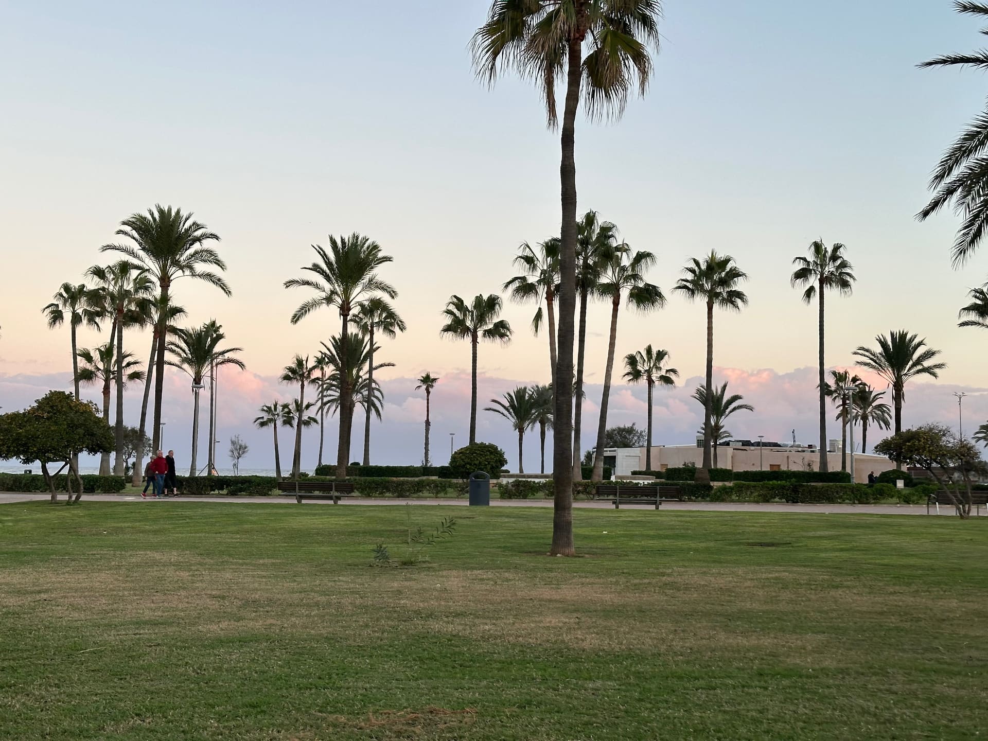 Mallorca, Spanien - Galerie Bild 9 - Spanien - Reise