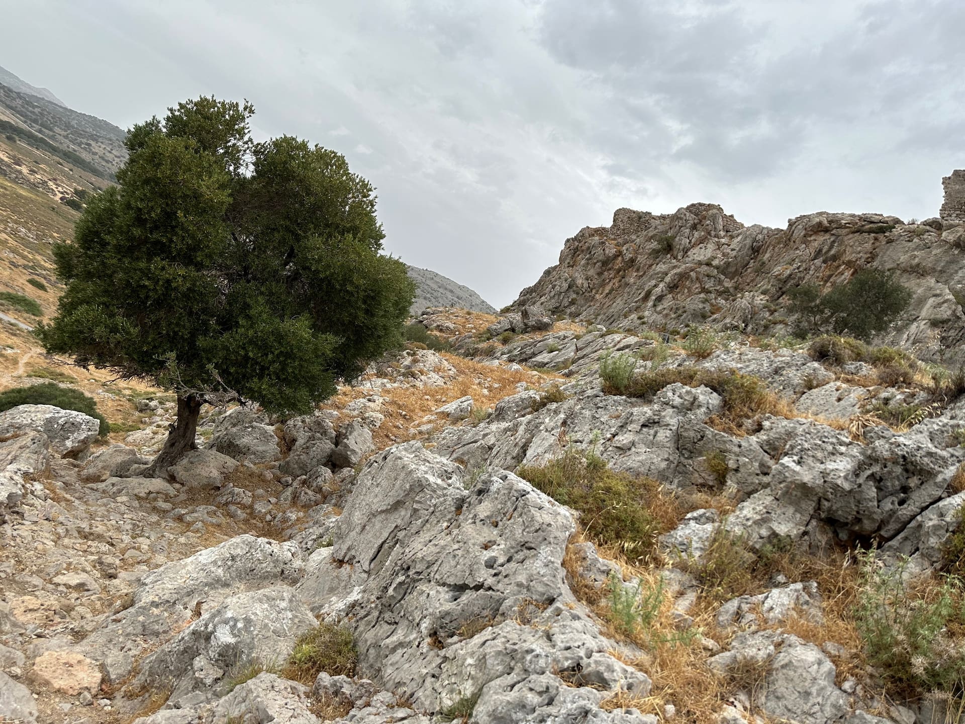 Rhodos, Griechenland - Titelbild - Griechenland - Reise