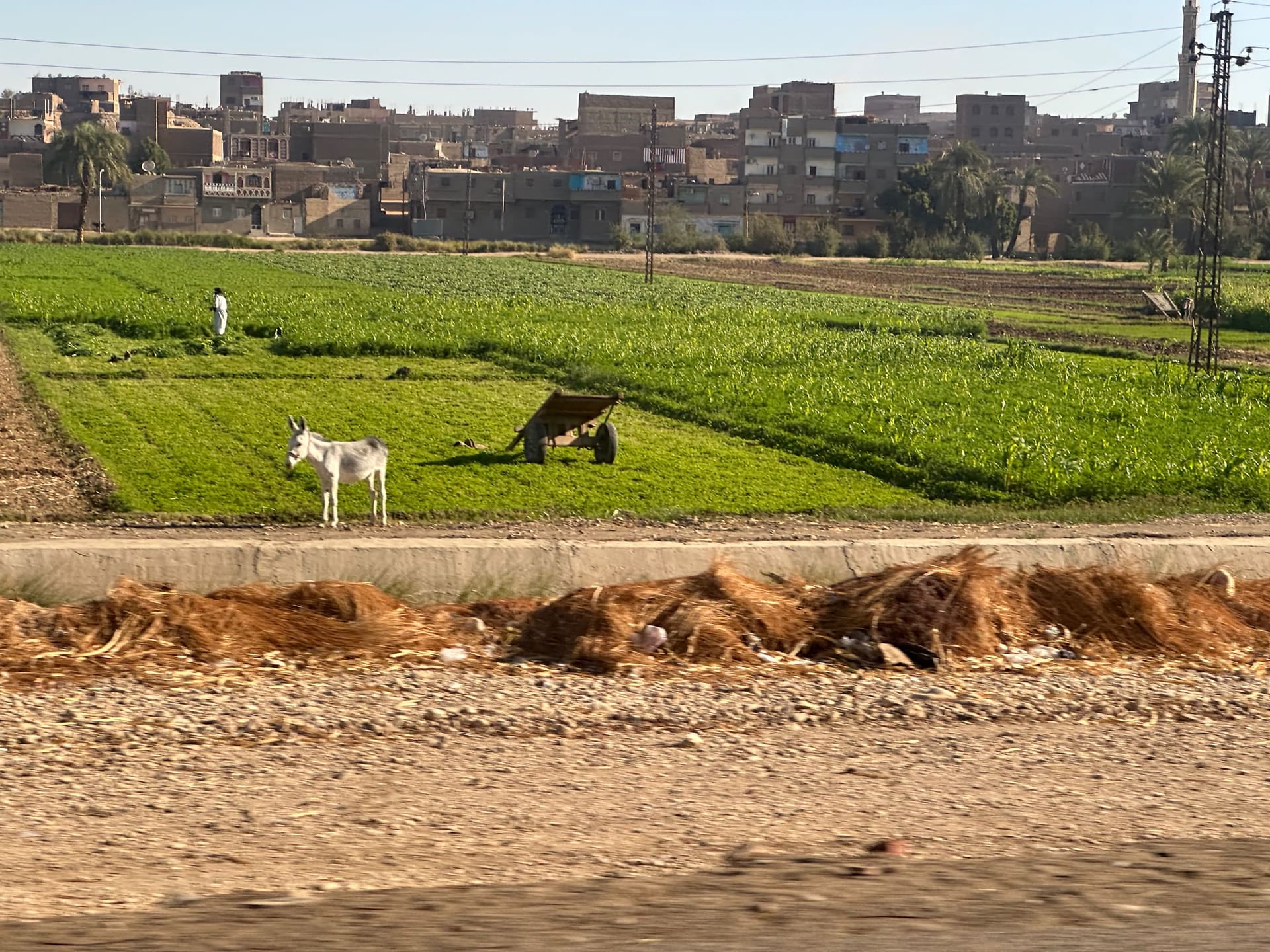 Luxor: Tal der Koenige & Karnak - Galerie Bild 1 - Aegypten - Ausflug
