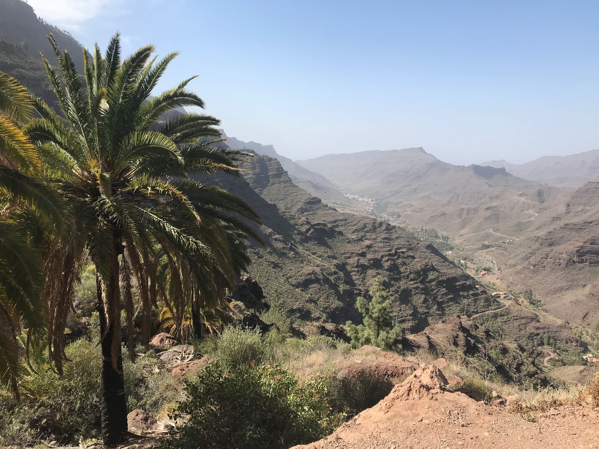 Gran Canaria, Spanien - Galerie Bild 7 - Spanien - Reise