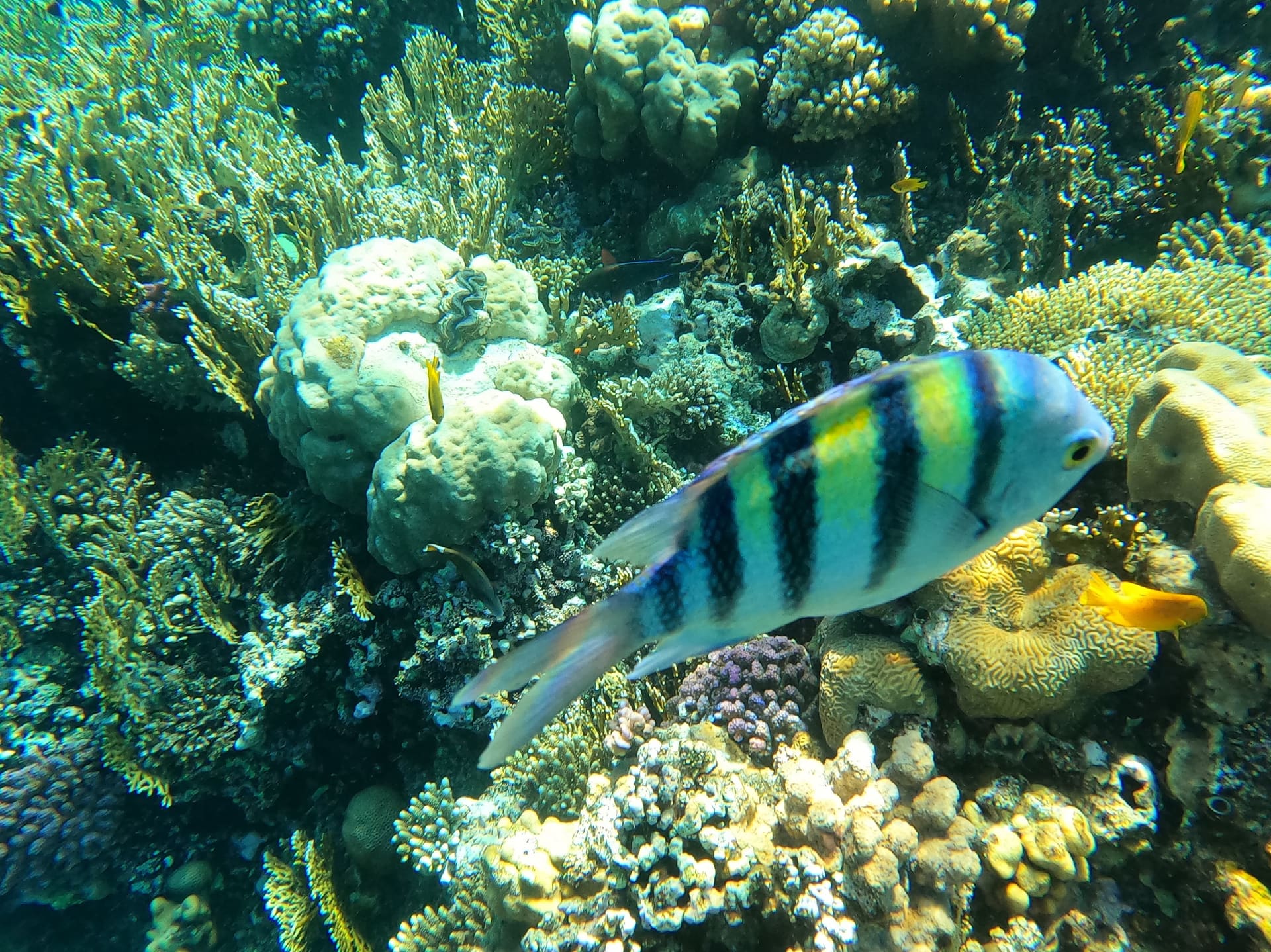 Hurghada, Aegypten - Galerie Bild 4 - Aegypten - Reise