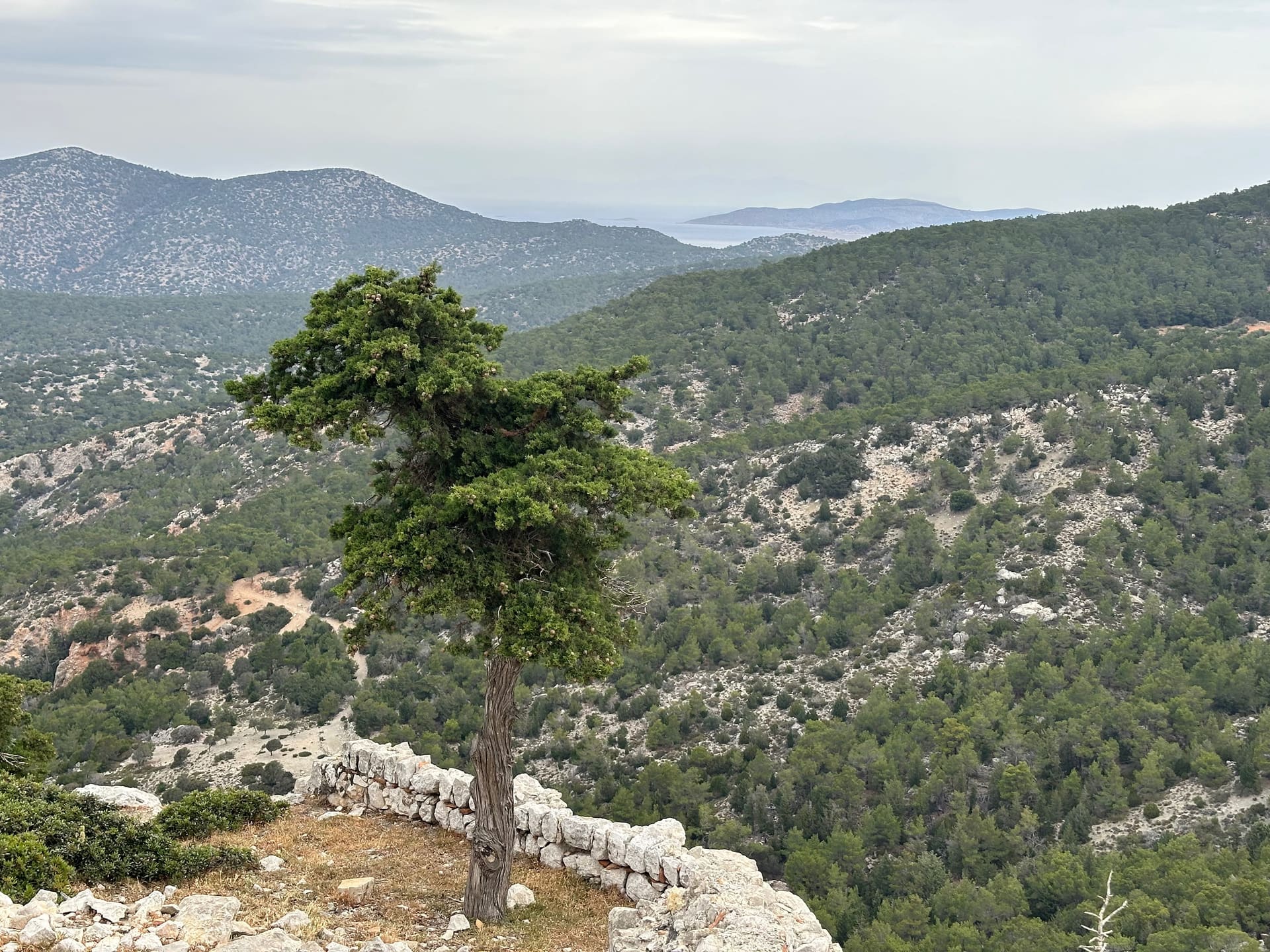 Rhodos