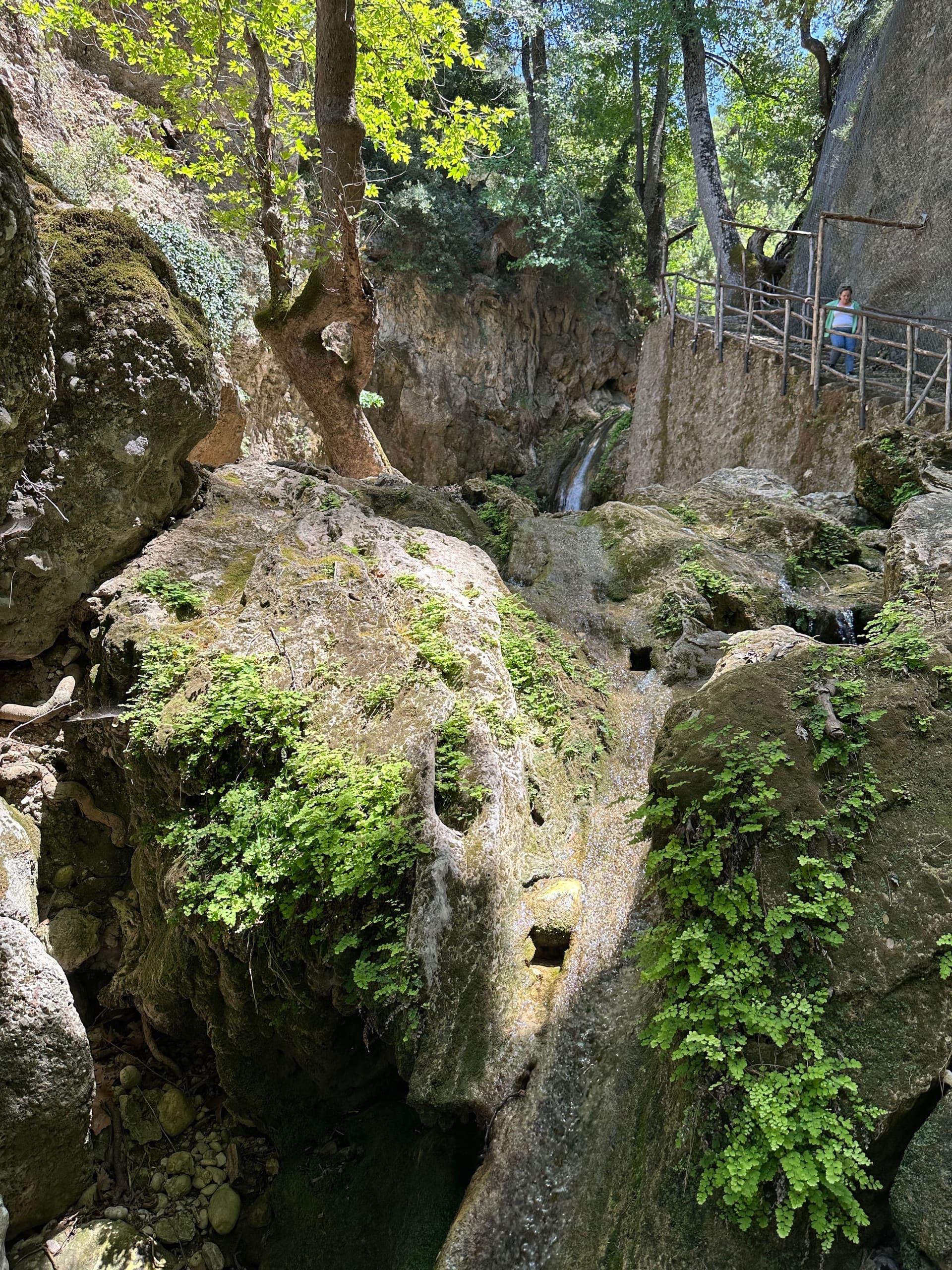 Schmetterlingstal Rhodos - Galerie Bild 9 - Griechenland - Ausflug