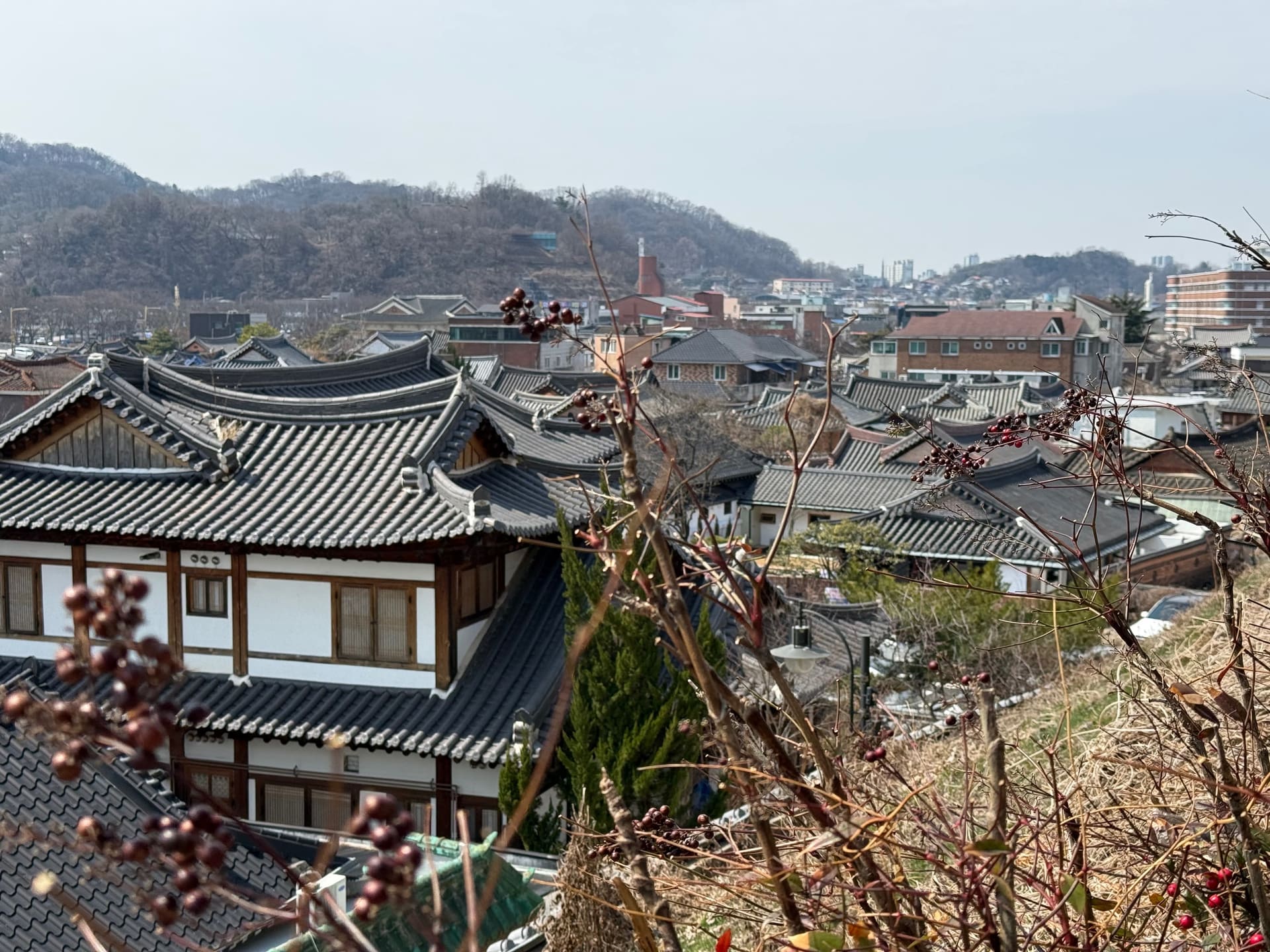 Südkorea - Jeonju 2 - IMG 3485 - Reise
